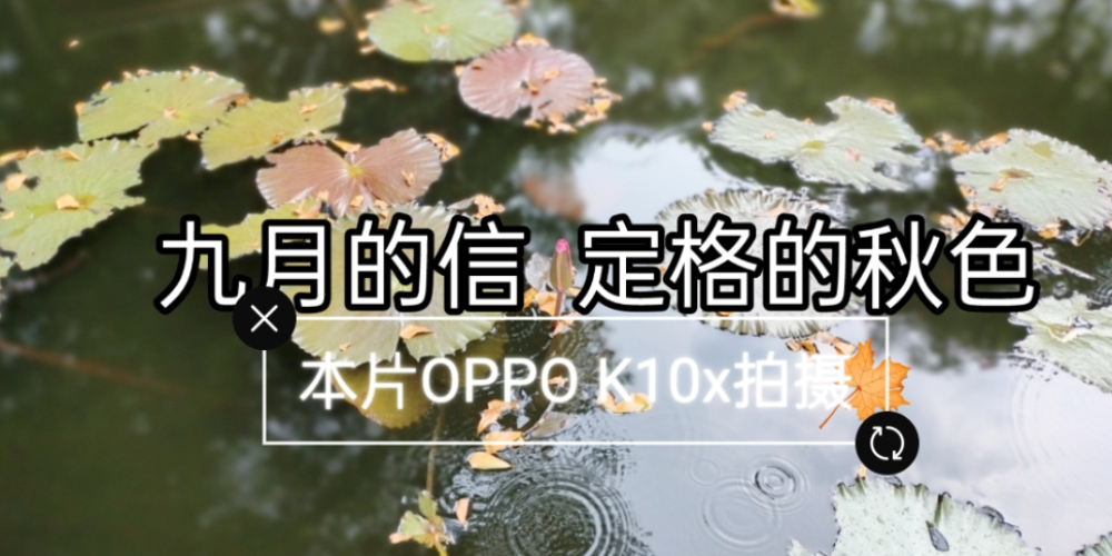 极客周末：致九月，OPPO K10x镜头下定格的秋色