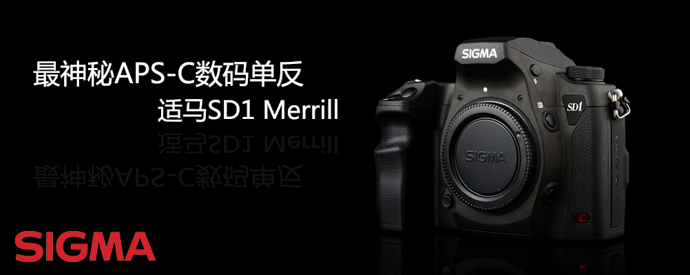 APS-C뵥 SD1 Merrill