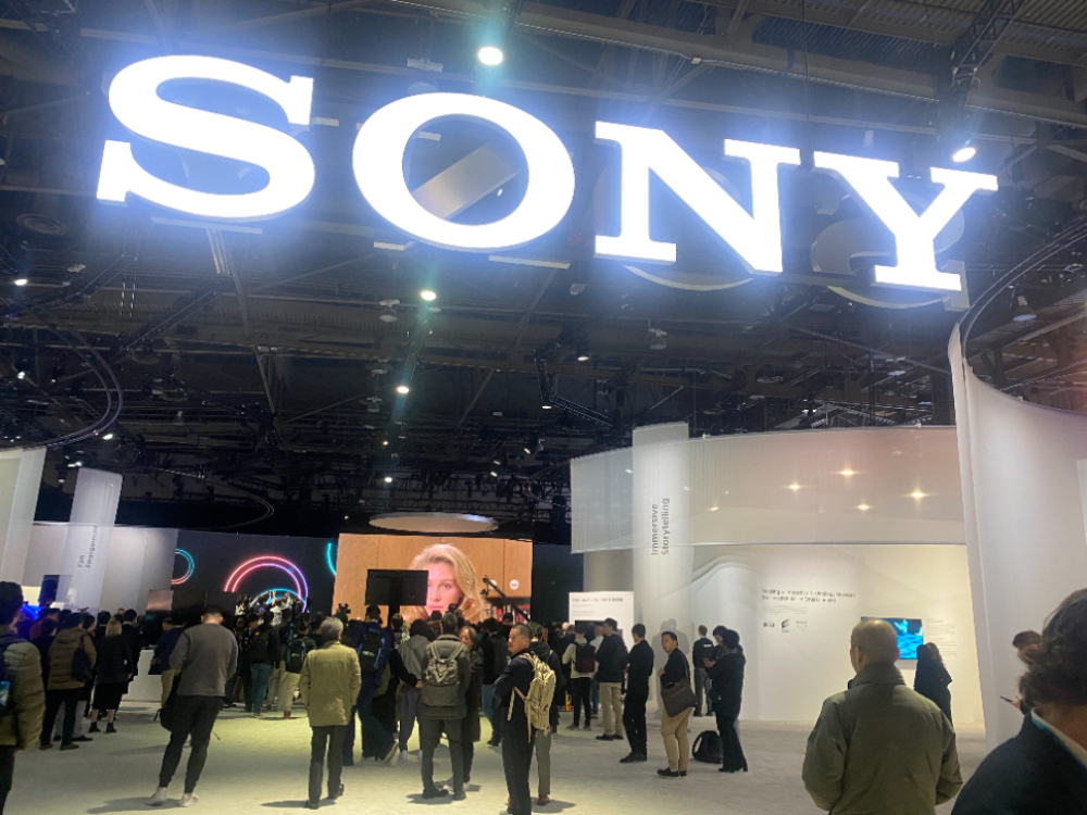 Դָжȫ SONYCES2024չֶԪ