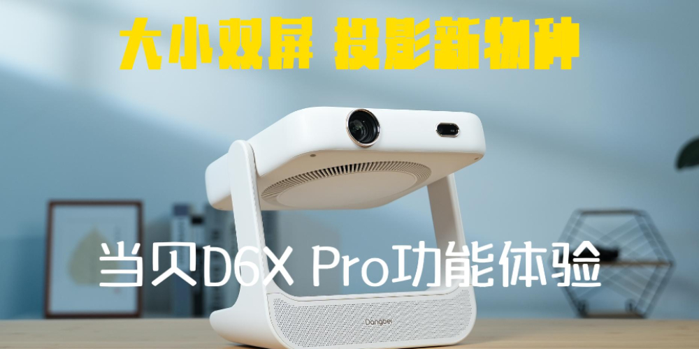 С˫ ͶӰ D6X Pro